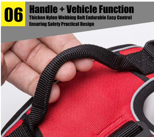 Solace Calm Walk Harness
