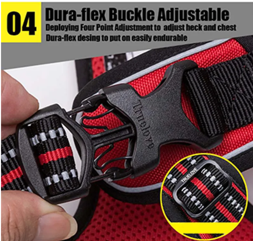 Solace Calm Walk Harness