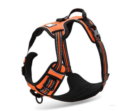 Solace Calm Walk Harness
