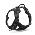 Solace Calm Walk Harness