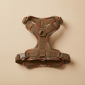 Solace Calm Walk Harness